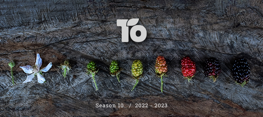 Season 10
