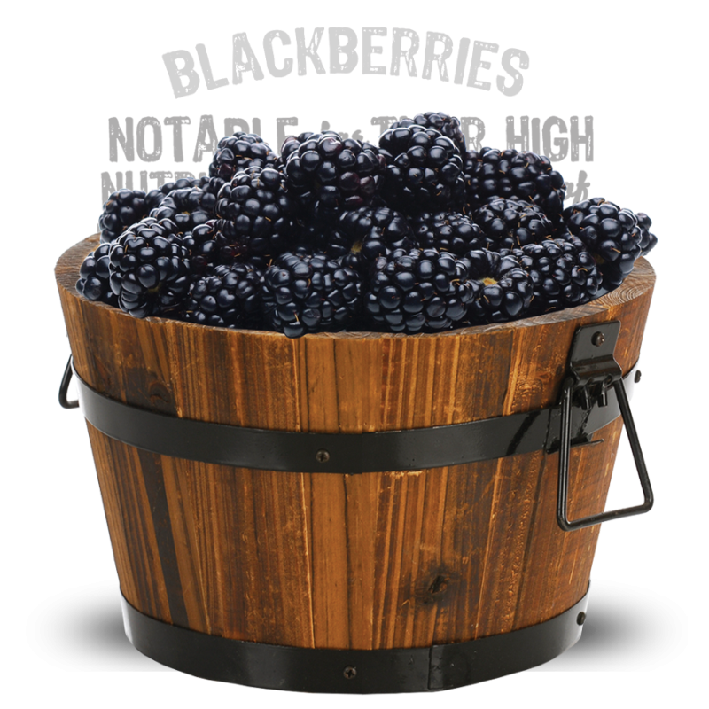 H52_Premium_sustainable_blackberry_bucket_4A
