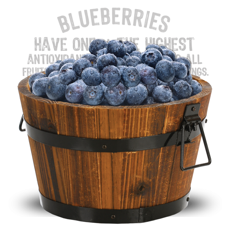 H52_Premium_sustainable_blueberry_bucket_3A