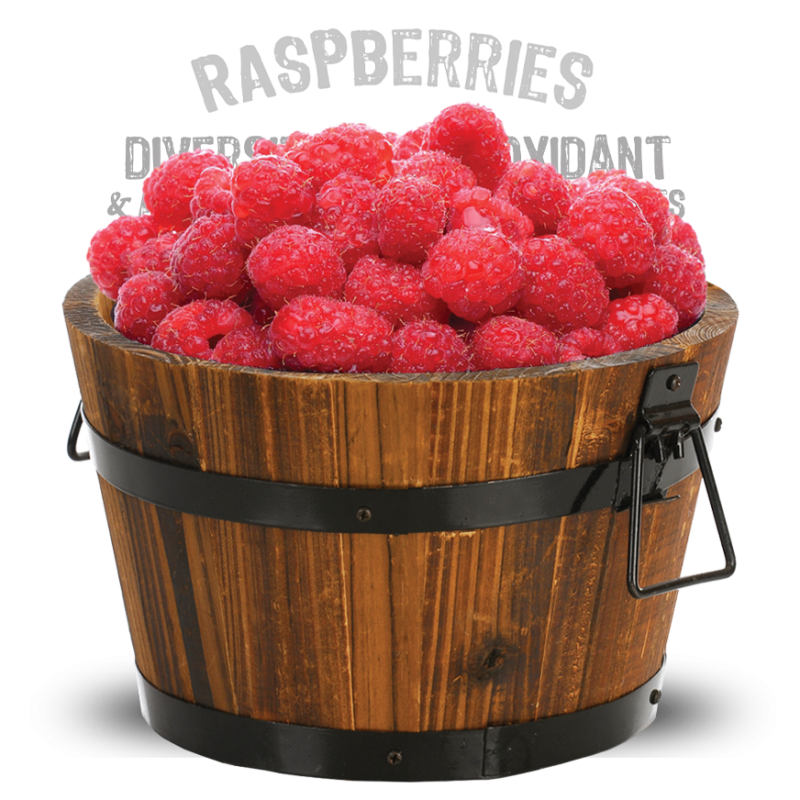 H52_Premium_sustainable_raspberry_bucket_3A